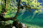 Tiefblaues sauberes Wasser im Obersee. Tiefblaues sauberes Wasser im Obersee.