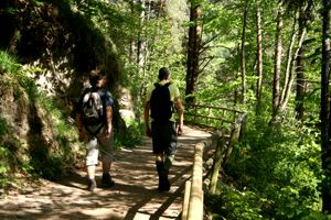 Steiler Aufstieg im Wald*