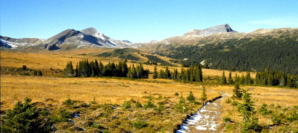 Wanderung auf dem Skyline Trail zwischen Maligne Lake und Jasper. Wanderung auf dem Skyline Trail zwischen Maligne Lake und Jasper.