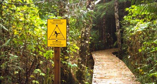 Die Boardwalks im Regenwald von Vancouver Island sind sehr rutschig.