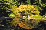 Nitobe Memorial Garden an der Universty of British Columbia (UBC).