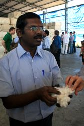 Vom Baumwolllager ... Vom Baumwolllager ...