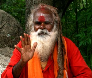 Ein Sadhu lässt grüßen* Ein Sadhu lässt grüßen*