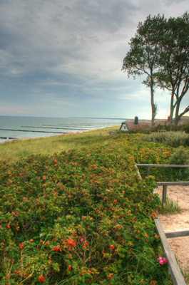 Beliebtestes Fotomotiv von Ahrenshoop.