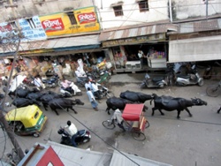 In den Gassen Agras*