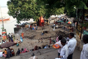 Indische Flarniermeile entlang des Flusses