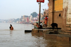 Baden und Säubern im Fluss
