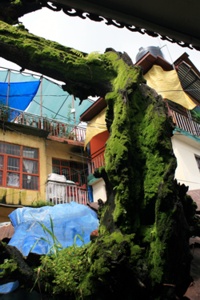 McLeod Ganj ist einer der regenreichsten Orte im Himalaya