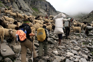 Der finale Aufstieg zum Hamta Pass