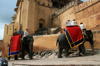 Auch eine mögliche Art der Fortbewegung
