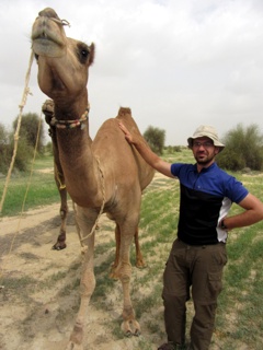 Mein störisches Kamel, was manchmal spontan zu Boden geht*