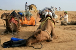 Unser Camp am Rande der Düne