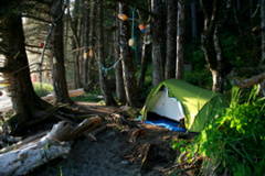 Zelten am Darling Creek - einfach himmlisch