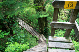 Leitern, Leitern und leider noch mehr Leitern