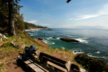 Blick von den Klippen aufs blaue Meer - leider ohne Wale