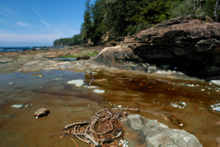 Traumhaftes Wetter am Strand und massenhaft Tidepools