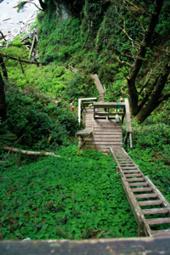 Über mehrere Etagen geht es steil nach unten zum Strand