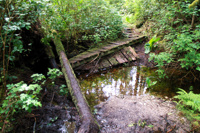 Schlamm so weit das Auge reicht