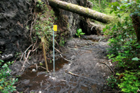 Ein anderes Schlammloch bei KM 52.