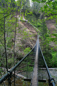 Hängebrücke und steile Leitern am Logan Creek - eine Meisterleistung der Ingenieurkunst