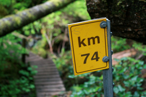 Der letzte Kilometer beginnt