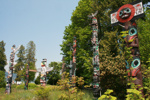 Totem Poles im Stanley Park