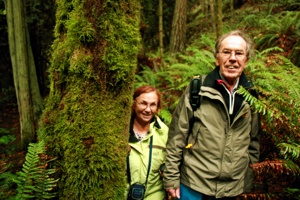 Wanderer im Regenwald beim Aufstieg auf den Mount Galiano (312m).