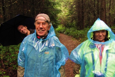 Schlümpfe im grünen Regenwald.*