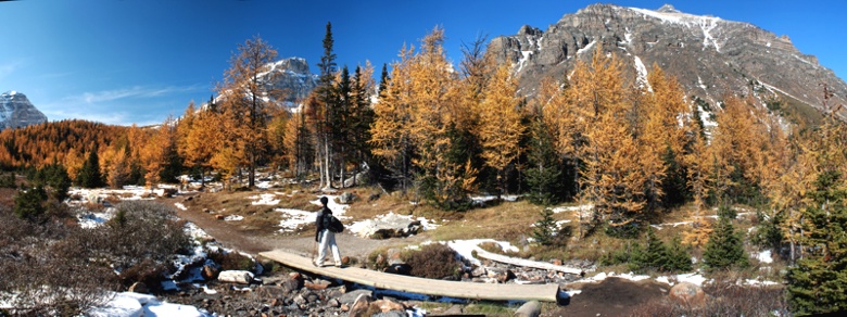 Das Lärchental glühte gelb unterdem blauen Himmel.