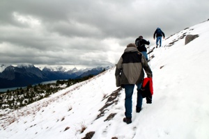 Die Besteigung des Ball Hills (2170 m) war nicht immer einfach.