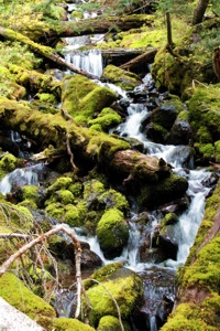 Wieder zurück im Herbst. Das Wasser fließt wieder.