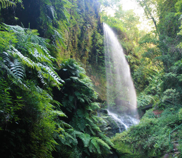 Cascada de los Tilos Cascada de los Tilos