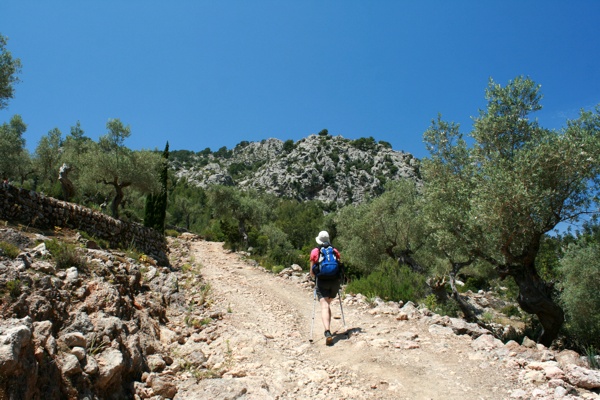 Durch die Olivenhaine im Baltix Tal. Durch die Olivenhaine im Baltix Tal.