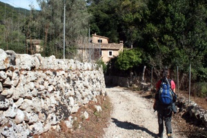Unser Weg durch die Olivenhaine und vorbei an Fincas.
