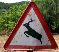 Auf die Fauna ist natürlich unbedingt zu achten.