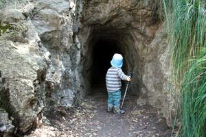 Der Zugang zur Avenc de Son Pou.