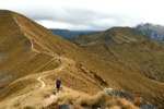 Kepler Track - Alpine Section