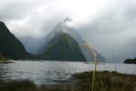 Der Milford Sound versteckt sich hinter Wolken und Regen.