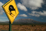 Das Tongariro Apline Crossing führt durch Kiwi-Land