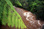 Regen und Hochwasser an der Westküste in Northland