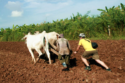 Zwei Bauern pflügen das Feld.