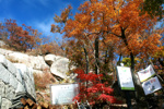 Herbststimmung im Bukhansan Nationalpark. Herbststimmung im Bukhansan Nationalpark.