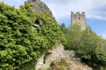 Eine der zwei Burgen von Dvigard mit Efeu überwuchert.