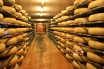 Reifekeller für neuen Emmentaler Käse.