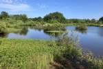 Der Moss Lake - wie eine Oase in der Wüste.