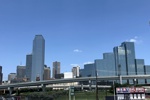 Die Skyline von Dallas mit Reunion Tower.