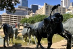 Pioneer Plaza - Cattle Drive in Dallas III.