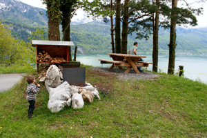 In der Schweiz gibt es viele tolle Picknick- und Grillplätze.