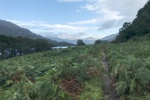 Der anspruchsvolle Weg im nördlichen Bereich des Loch Lomond - III.